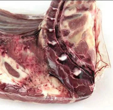 Cold Fresh Meat Packaging Bags PA/PE Shrink Film PVDC Shrink Film Dan Bags